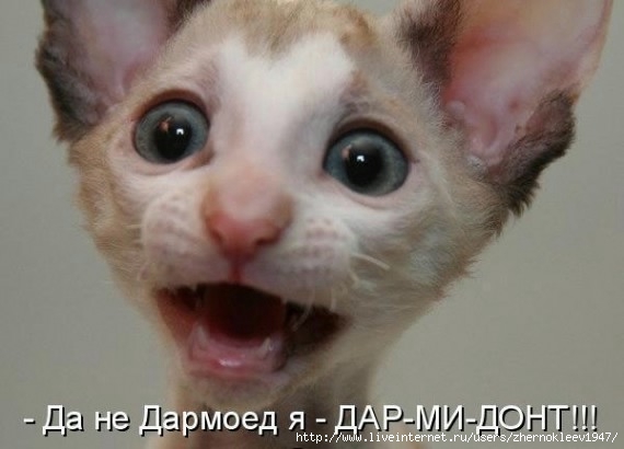 за речью следи (570x410, 94Kb)