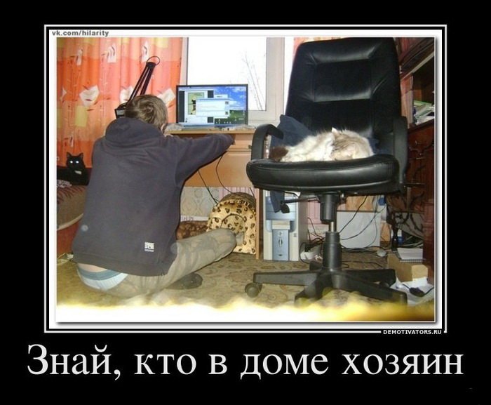 5402287_1368594842_8 (700x577, 68Kb)