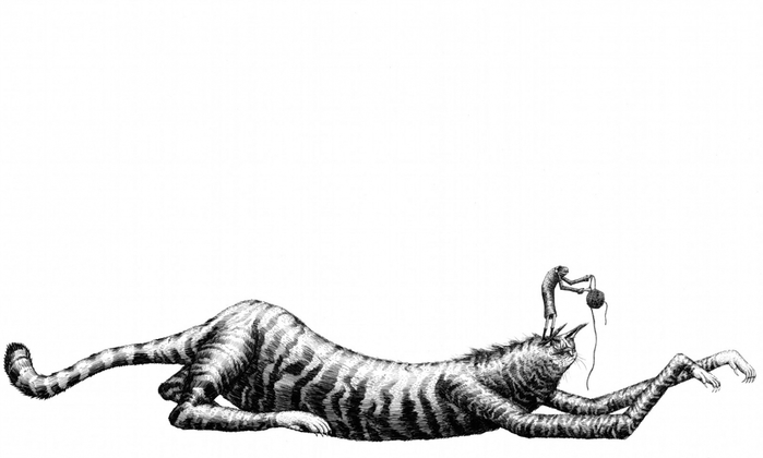 3623822_cat_and_string (700x420, 102Kb)