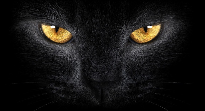5148030_3528_wallpaper (700x381, 77Kb)
