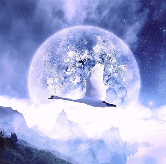 3245507_62460bf3577f (640x630, 83Kb)