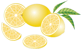 lemon56 () (320x195, 84Kb)