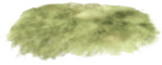  grass (600x242, 266Kb)