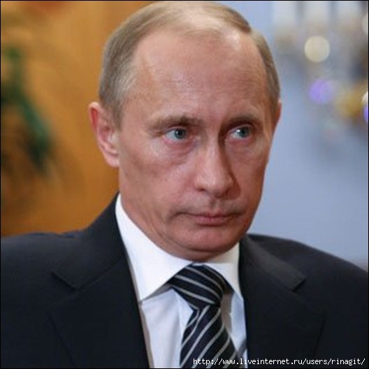 vladimir-putin13_thumb[2] путин делит5 (528x528, 111Kb)