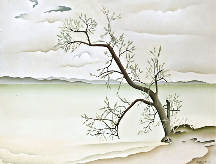 Olajfa a Balaton partjn, 1957 (700x530, 291Kb)