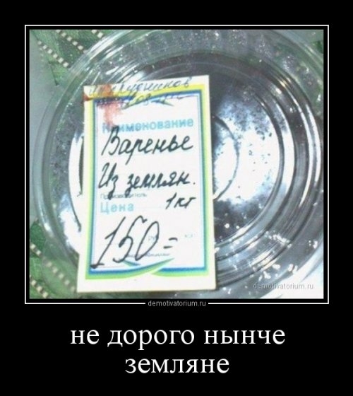 19 (500x560, 116Kb)