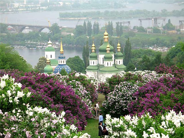 Красивые сады мира фото