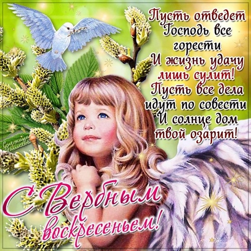  4 (500x500, 218Kb)