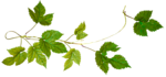 0_a4ad6_5b83812c_S.jpg (150x70, 17Kb)