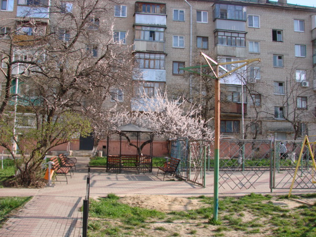 DSC05828 (640x480, 403Kb)