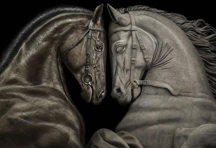 3623822_69186_francegalop_chevaux_peterlippmann (700x481, 52Kb)