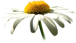 0_a1ca1_857aaaa3_S (150x84, 18Kb)