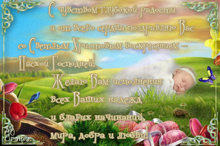    (699x465, 376Kb)