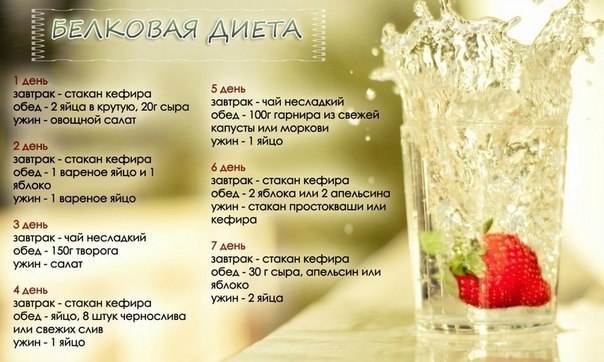 белковая диета сколько дней кажется это