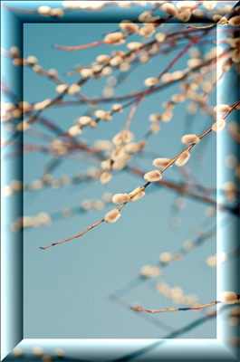 bd895a3218f79a792638e0ccdd8d9d1e (265x400, 145Kb)