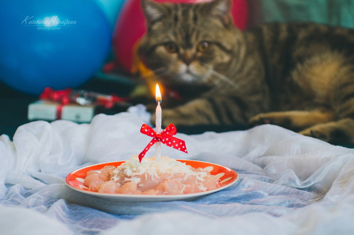 5634172_DSC04129_logo_web (700x465, 255Kb)