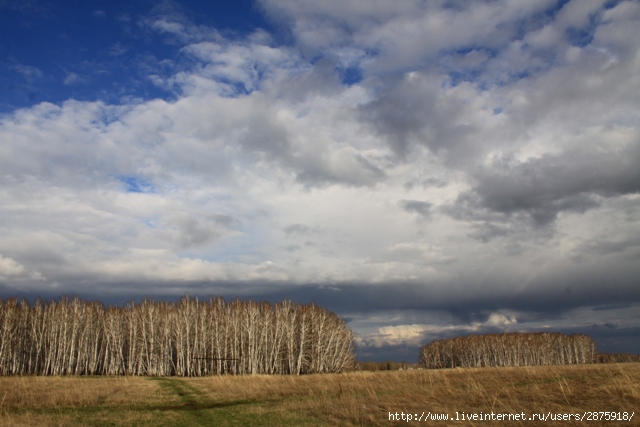 IMG_3785 (640x427, 158Kb)
