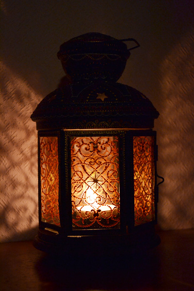 4815959_DSC_0370 (400x600, 115Kb)