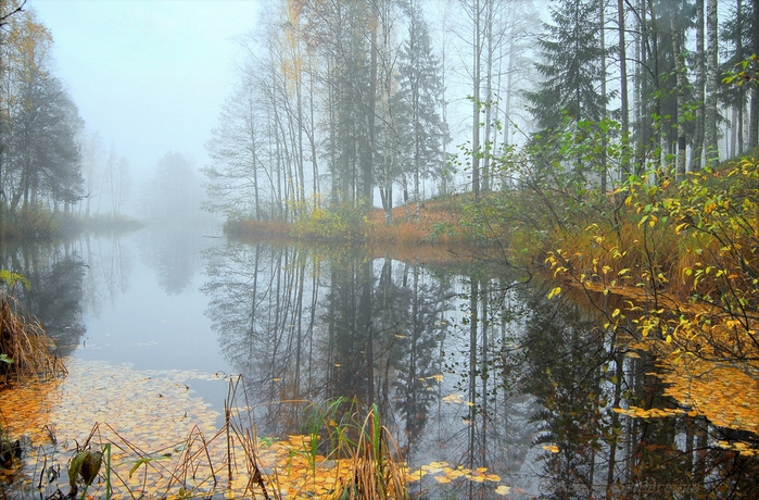 7 (699x460, 368Kb)