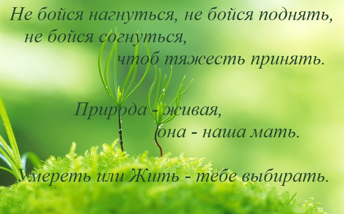   (700x437, 92Kb)