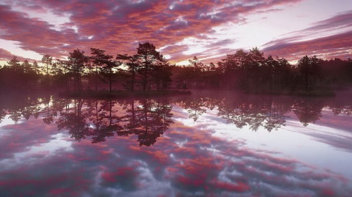 1397495994_12 (700x391, 49Kb)