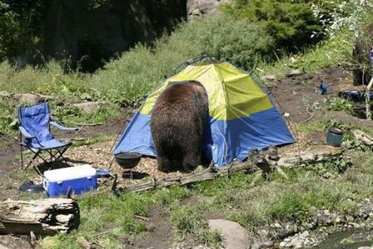1397505501_v_ukraine (525x350, 56Kb)