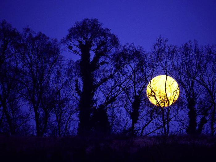 YELLOW-MOON (700x525, 353Kb)