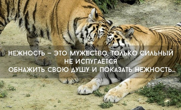 1DF22HZNCWw (604x370, 93Kb)