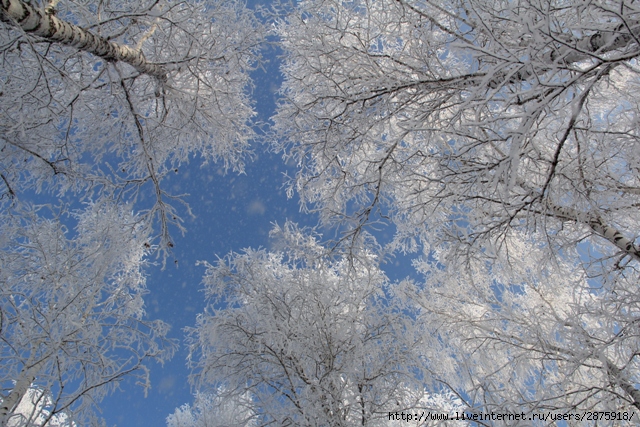 IMG_0330 (640x427, 323Kb)