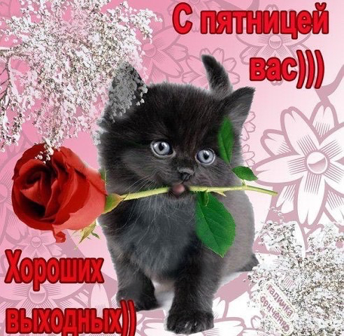 image (492x480, 276Kb)