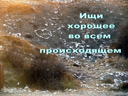 100504018_medium_medium_IMG_2755jpgaforjpgsayt (490x368, 125Kb)