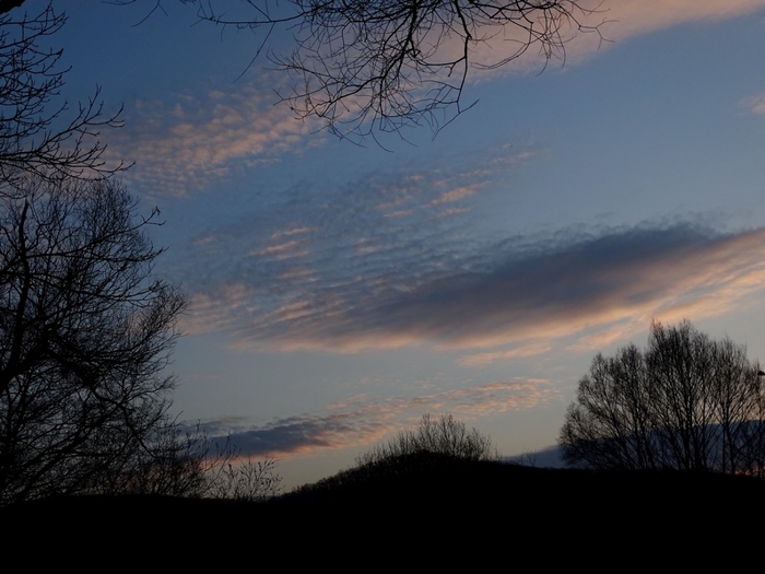 5559494_DSC04122 (700x525, 210Kb)