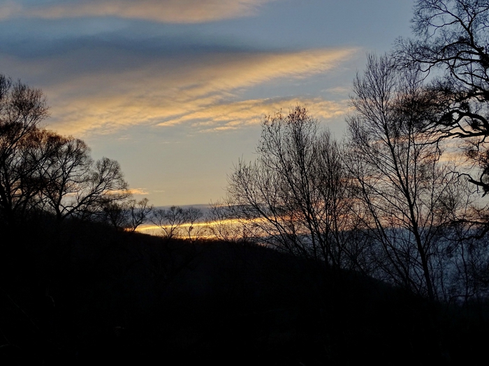 5559494_DSC04115 (700x525, 246Kb)