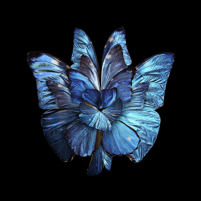 2 (700x700, 352Kb)