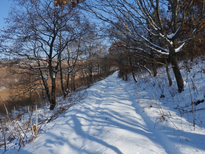 5559494_DSCN1723 (700x525, 363Kb)