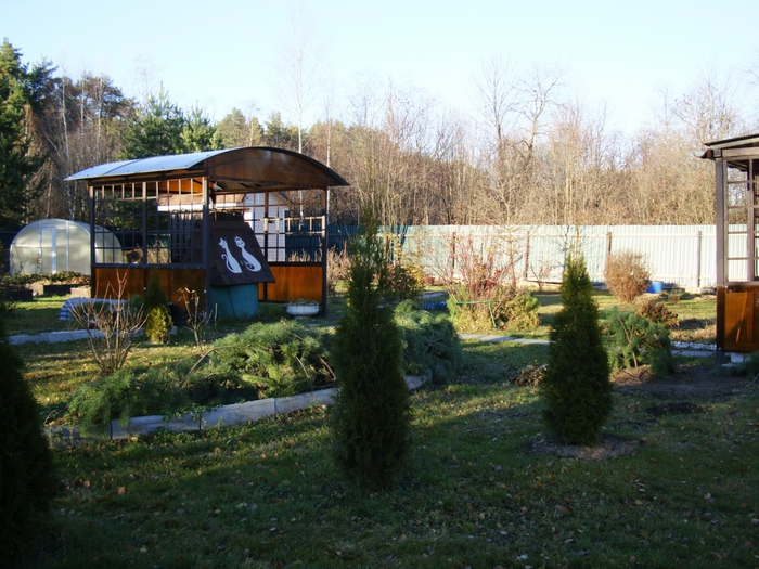 3587765_DSC05679 (700x525, 319Kb)