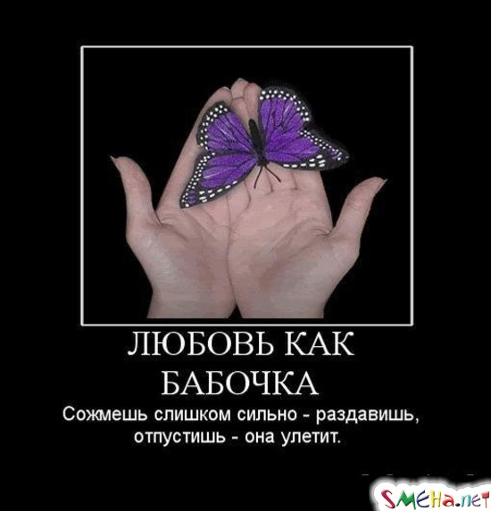 HUBqjgtLqZlvLqh 22Л (550x573, 103Kb)