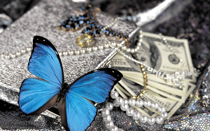 butterfly-money-4-Size-Wall-decoration-Canvas-Poster-Print (700x437, 365Kb)
