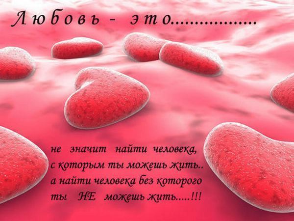 8f3154b167dd76ef9ae7a7aa13e33937_i-983 (600x450, 41Kb)