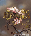  1719 . Branch of Apple Blossoms (498x580, 211Kb)