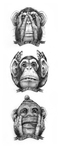  87383d62e068917f6af669e48ca8c474 - копия (283x700, 93Kb)