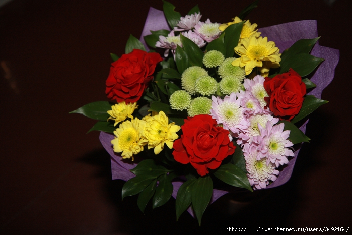 IMG_8126_ (700x466, 238Kb)