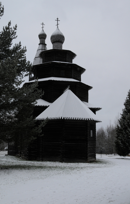DSC_6170 (445x700, 230Kb)