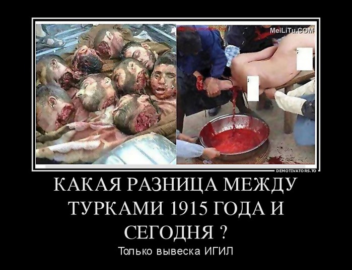 480190_kakaya-raznitsa-mezhdu-turkami-1915-goda-i-segodnya-_demotivators_to (700x538, 93Kb)