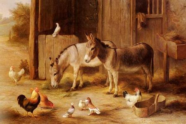 71419903_Farmyard20Friends (600x400, 198Kb)