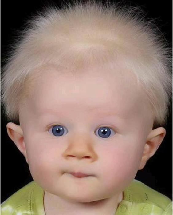 143957776571937914 (563x700, 32Kb)