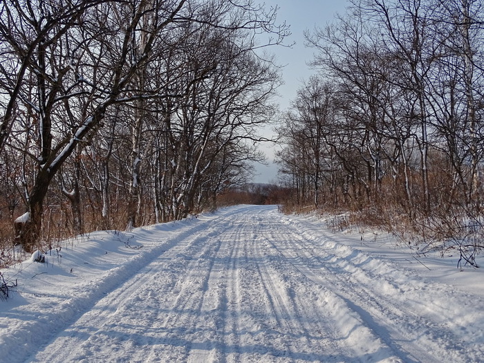 Помогай весне ешь снег фото