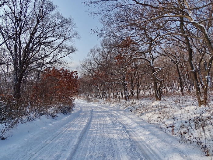 5559494_DSC04146 (700x525, 217Kb)