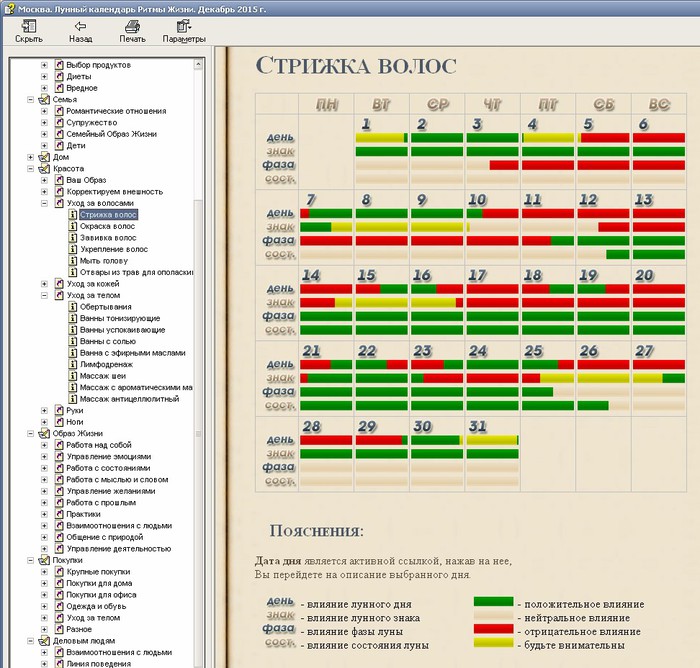 Стрижка по лунному календарю на декабрь. График стрижек. Календарь для волос. Календарь стрижек на декабрь. Календарь по уходу за волосами.