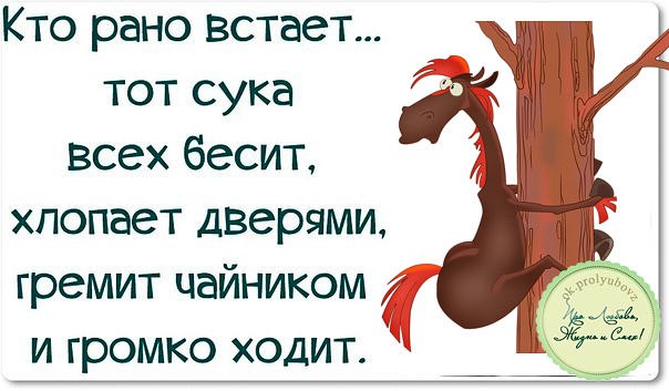 .    ))))) (604x353, 49Kb)